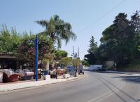 /customerDocs/images/avatars/44996/milos 3.jpg